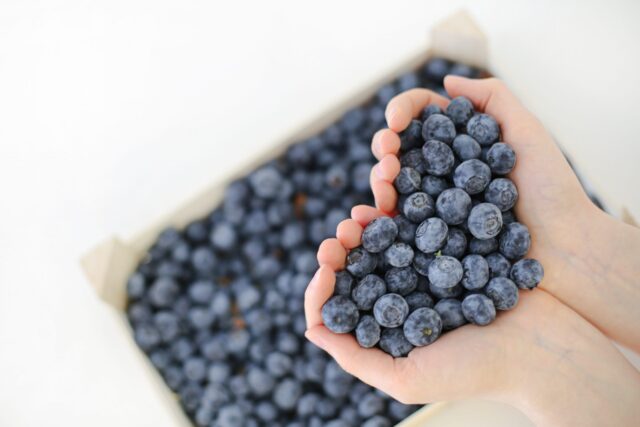 Benefits of Blueberry Extract for Your Skin